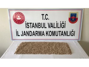 Jandarmadan uyuşturucu operasyonu