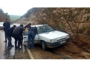 Yola düşen ağaç kazaya neden oldu
