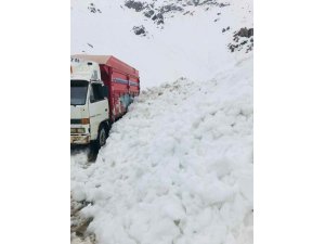 Yola düşen çığ saniye saniye görüntülendi