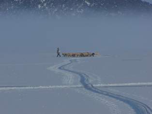 Beyşehir Gölü üzerinde yürüyen sürüler
