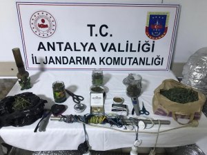 Uyuşturucu serasına çevrilen ev şaşkına çevirdi