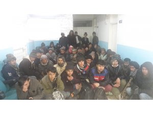 Van'da 54 düzensiz göçmen yakalandı