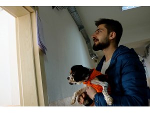 Oy kullanmaya köpekleri "Maya" ile geldiler