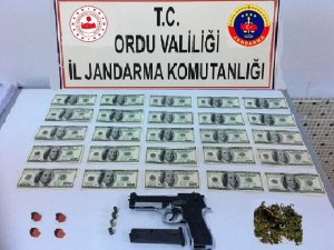 Ordu’da sahte dolar operasyonu