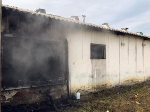 Kaynarca’da bin 700 hindi yavrusu yangında telef oldu
