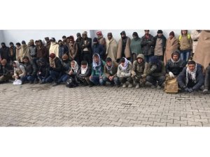 Başkale’de 132 kaçak göçmen yakalandı