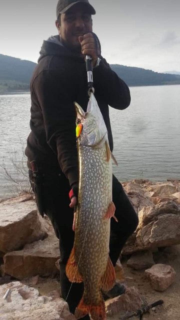 Amatör olta avcılarına boy limiti uyarısı