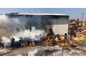 Palet fabrikasında korkutan yangın