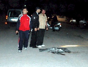 Hayat kadını cinayeti davası...