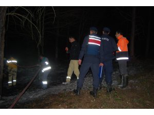 Tekirdağ'da orman yangını