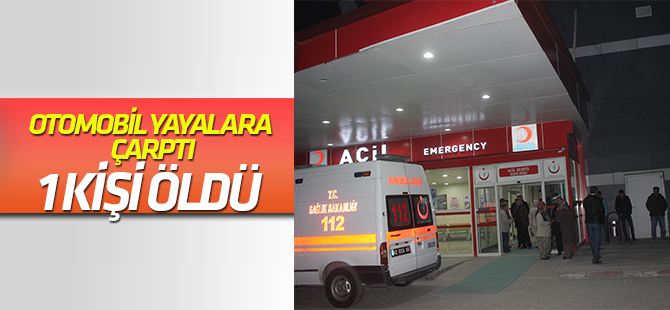 Konya'da otomobil yayalara çarptı: 1 ölü, 1 yaralı