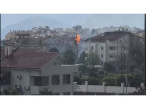 Yıldırım düşen ağaç saniyeler içinde alev topuna döndü