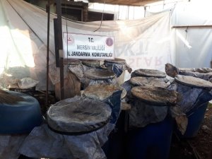 Tarsus’ta 3 bin litre kaçak içki ele geçirildi