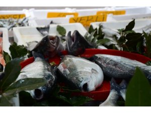 Balık avında son 10 gün