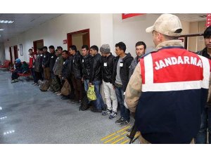 Erzincan’da 215 kaçak göçmen yakalandı