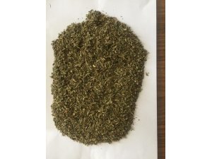 Polisten zehir tacirlerine darbe: 4 tutuklu