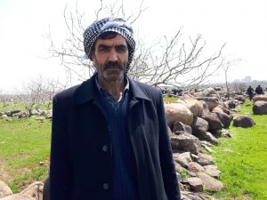 Koyun otlatan çobanlar tarlada mühimmat buldu