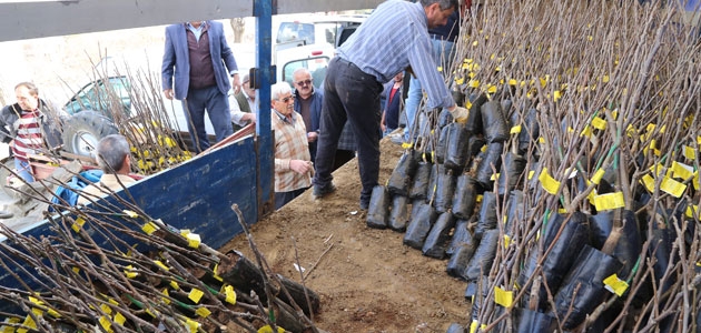 Hadim'de çiftçilere fidan dağıtıldı