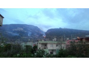 Yüksek gerilim direğindeki patlama orman yangınına neden oldu