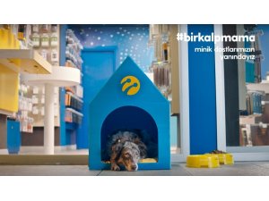 Turkcell’in 1400 mağazası minik dostlara kapılarını açıyor