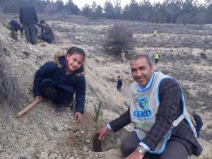 ÇEKUD'den fidan dikme etkinliği