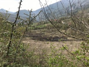 Kastamonu’da çıkan anız yangının itfaiye söndürdü