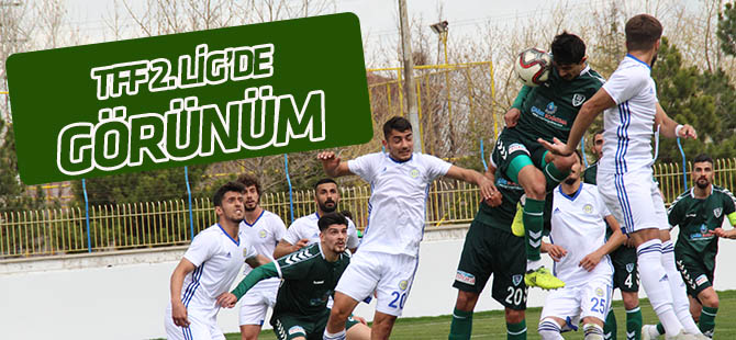 TFF 2. Lig'de görünüm