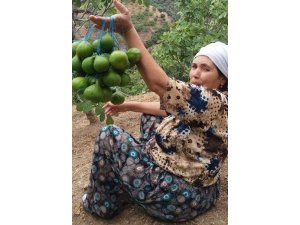 Karşıdan karşıya geçen yayalara otomobil çarptı: 1 ölü, 2 yaralı