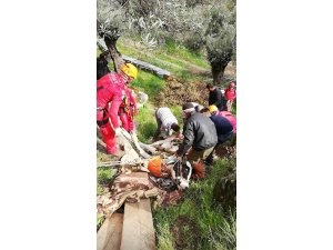 Söke’de inek kurtarma operasyonu