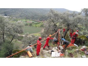 Ormanlık alanda mahsur kalan ineği Kuşadası AKUT ekibi kurtardı