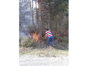 Sinop’ta orman yangını