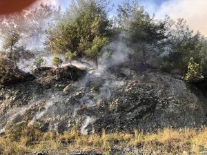 Hatay’daki orman yangınında 2 hektarlık alan zarar gördü