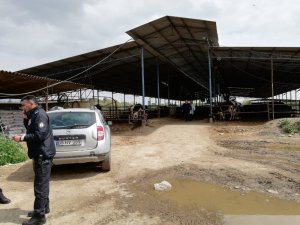Çiftlikteki gübre çukurunda çocuk cesedi bulundu