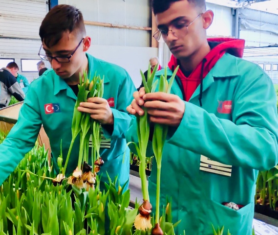 Meslek lisesi öğrencileri Hollanda'da staj yaptı