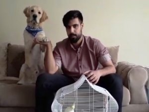 Köpeğinin gözüne dedorant sıkan gençten işkence açıklaması
