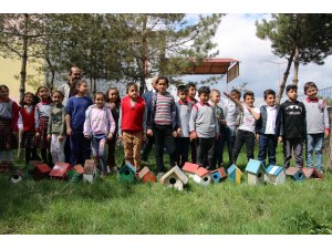 Minik ellerden kuşlara sıcak yuva