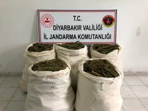 Diyarbakır’da 85 kilogram esrar ele geçirildi