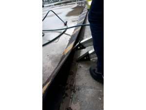 Ekipler yavru kedi için seferber oldu