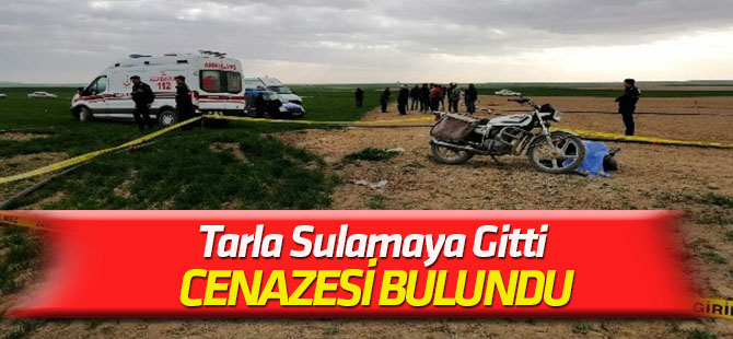 Tarla sulamaya gitti cenazesi bulundu