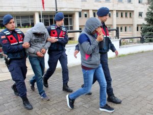 Akbük’te ağaçları kesen şahıslar tutuklandı