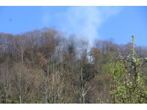 Rize’de ormanlık alanda yangın