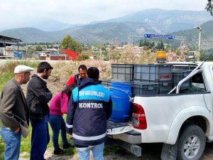 Söke’de 12 bin deniz patlıcanı ele geçirildi