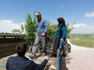 Çiftçilere ceviz ve badem fidanı dağıtıldı