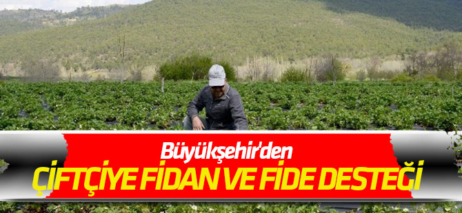 Büyükşehir'den çiftçiye fidan ve fide desteği