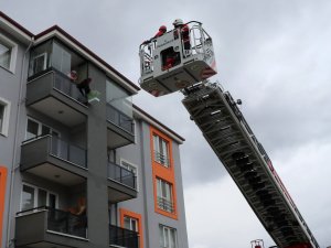 Kaçan papağanı itfaiye yakaladı