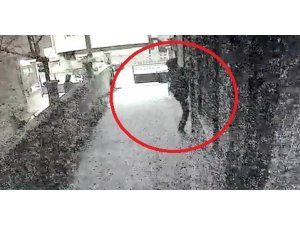 10 ayrı eve giren "Örümcek Adam" çetesi operasyon sonucu yakalandı