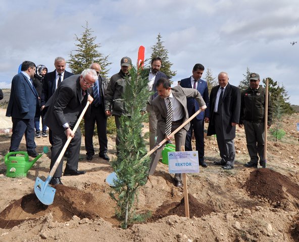 Rektör Zorlu: 4 yıl içinde kampüsümüzün tamamı ağaçlandırılacak