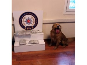 100 bin lira değerinde uyuşturucu ele geçirildi