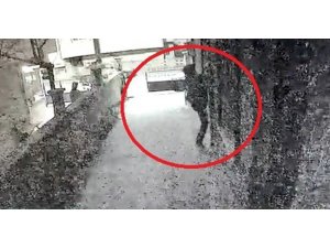 10 ayrı eve giren "Örümcek Adam" çetesi çökertildi