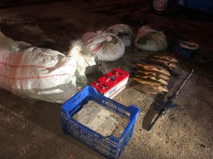 Isparta’da kaçak avlanan sazan ve av malzemelerine el konuldu